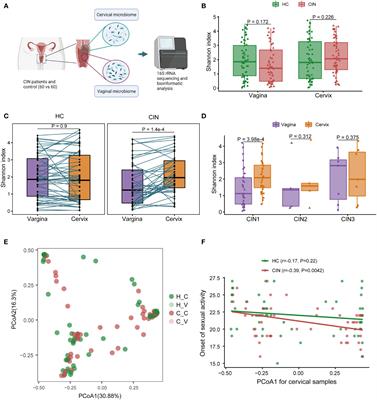 Dysbiosis of Cervical and Vaginal Microbiota Associated With Cervical Intraepithelial Neoplasia